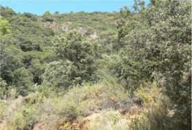 Priego de Córdoba 2250000&nbsp;m² 