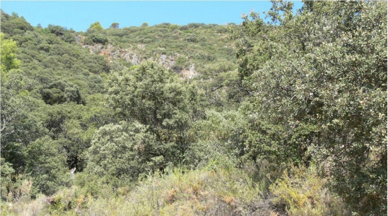 Córdoba - Priego de Córdoba - 2250000m2