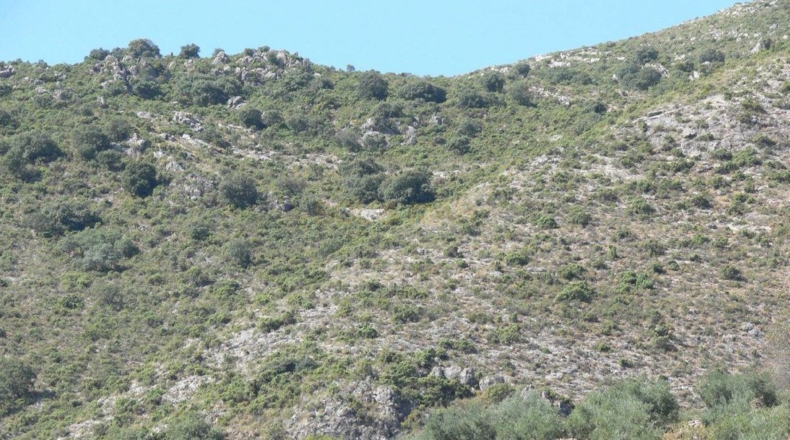 Córdoba - Priego de Córdoba - 2250000m2