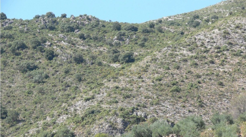 Córdoba - Priego de Córdoba - 2250000m2