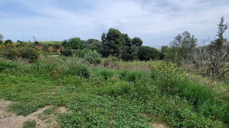 Málaga - Mijas - 4140m2