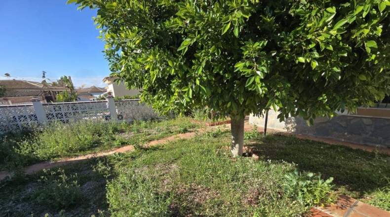 Málaga - Alhaurín de la Torre - 500m2