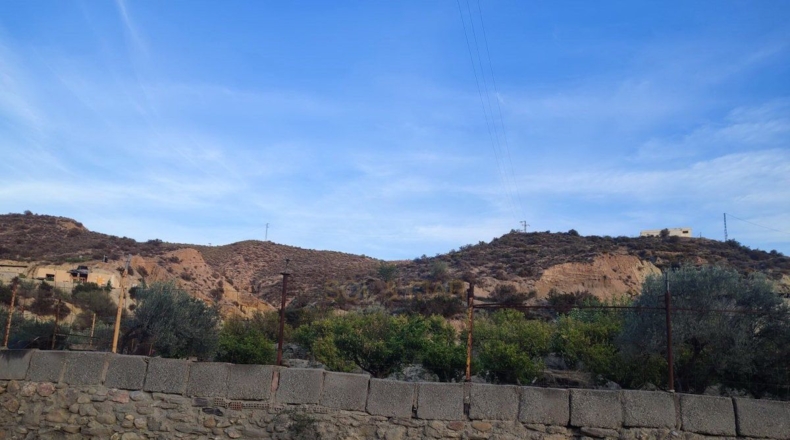 Almería - Alhabia - 7000m2
