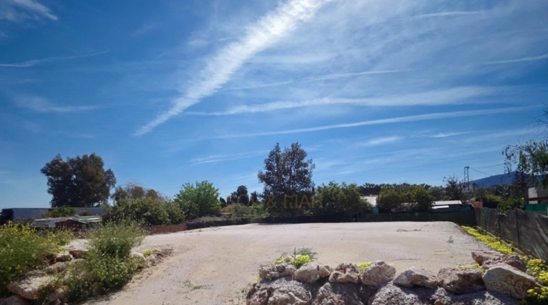 Málaga - Малага - 822m2