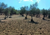 Finca rústica en venda a Alhaurín de la Torre ref.: TR261522 foto