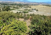 Finca rústica en venda a Alhaurín de la Torre ref.: TR261522 foto