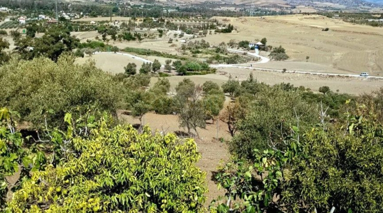 Малага - Coín - 18285m2