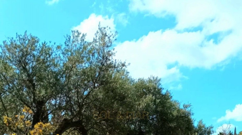 Малага - Coín - 18285m2