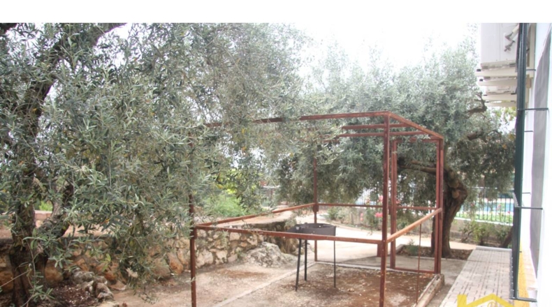 Córdoba - Palma del Río - 1656m2