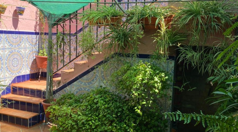 Sevilla - Peñaflor - 170m2