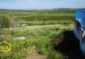 Finca rústica en venda a la España, Peñaflor, ref.: TR202101 foto