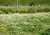 Finca rústica en venda a la España, Peñaflor, ref.: TR202101 foto