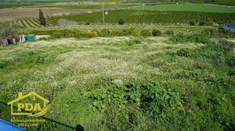 Sevilla - Peñaflor - 3761m2