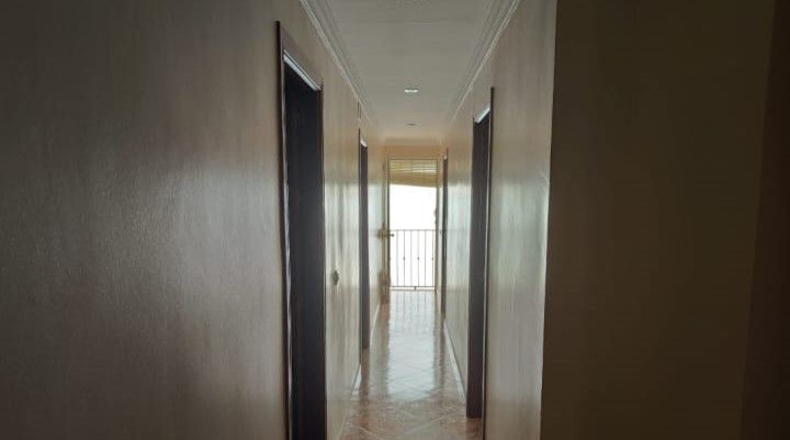 Córdoba - Palma del Río - 376m2