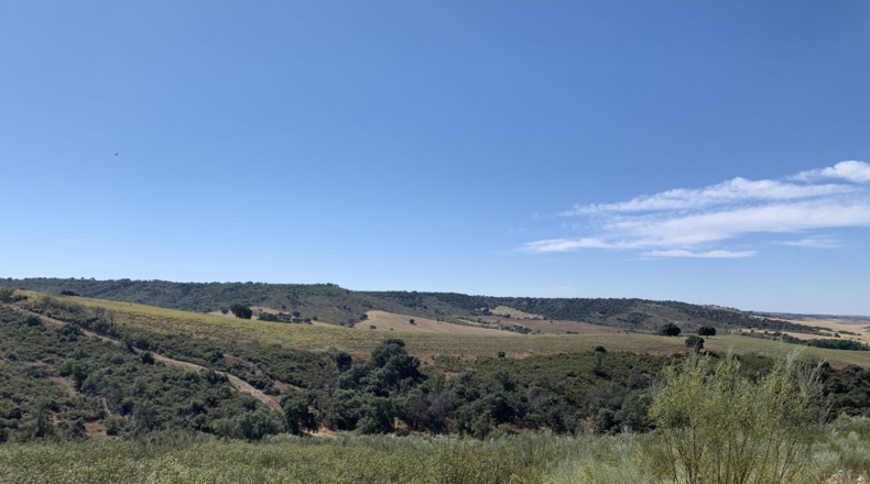 Guadalajara - Peñarrubia - 1600m2