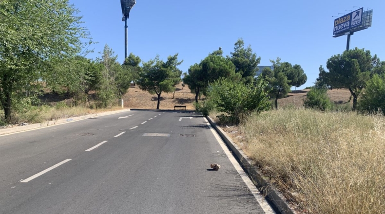 Comunidad de Madrid - Leganés - 206m2