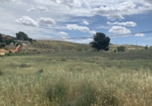 Non-developable land for sale in Chinchón ref: TR306980 photo