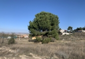 Non-developable land for sale in Chinchón ref: TR306980 photo