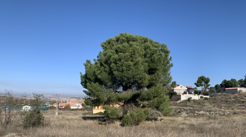 Community of Madrid - Chinchón - 25000m2