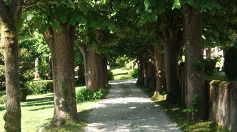 Asturias - El Barriu - 2500m2