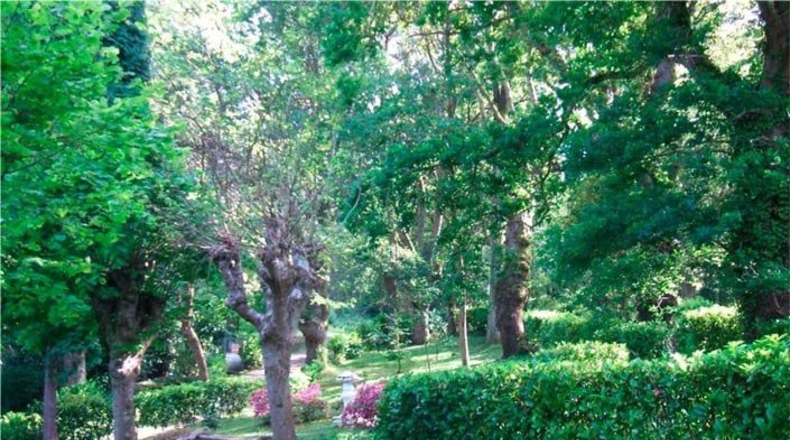 Asturias - El Barriu - 2500m2