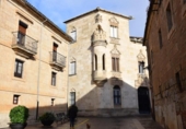 Casa de camp amb terreny en venda a Ciudad Rodrigo ref.: TR20984 foto