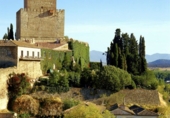 Casa de camp amb terreny en venda a Ciudad Rodrigo ref.: TR20984 foto