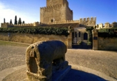 Casa de camp amb terreny en venda a Ciudad Rodrigo ref.: TR20984 foto