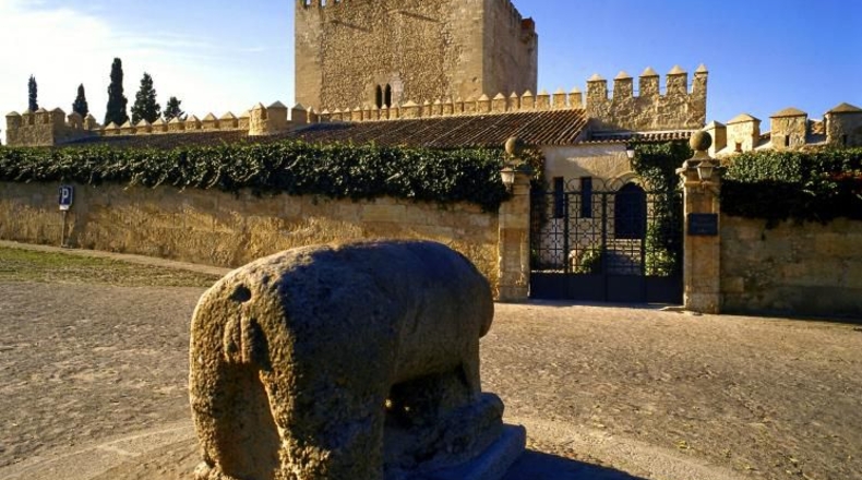 Salamanca - Ciudad Rodrigo - 838m2