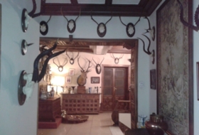 Foto 9
