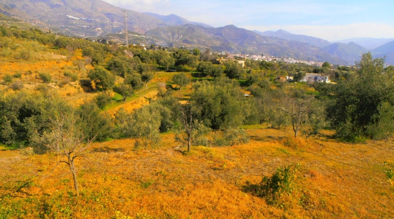 Granada - Los Tablones - 5000m2