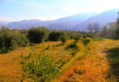 Finca rústica en venta en Órgiva ref: TR15962 foto