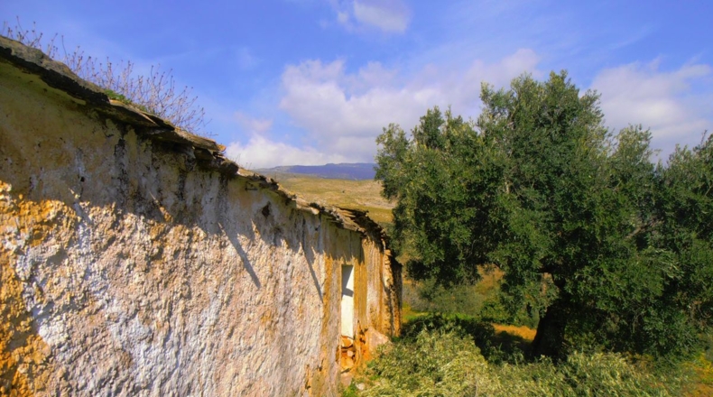 Granada - Los Tablones - 5000m2