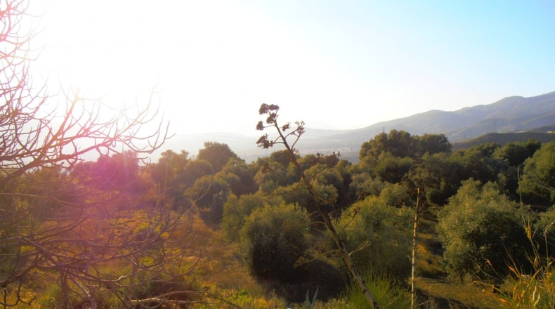 Granada - Órgiva - 13000m2