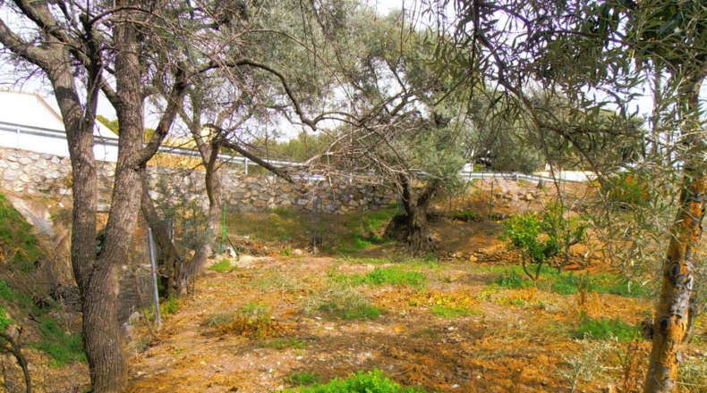 Granada - Los Tablones - 800m2