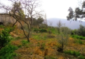 Chalet independiente con terreno en venta en Órgiva ref: TR27858 foto
