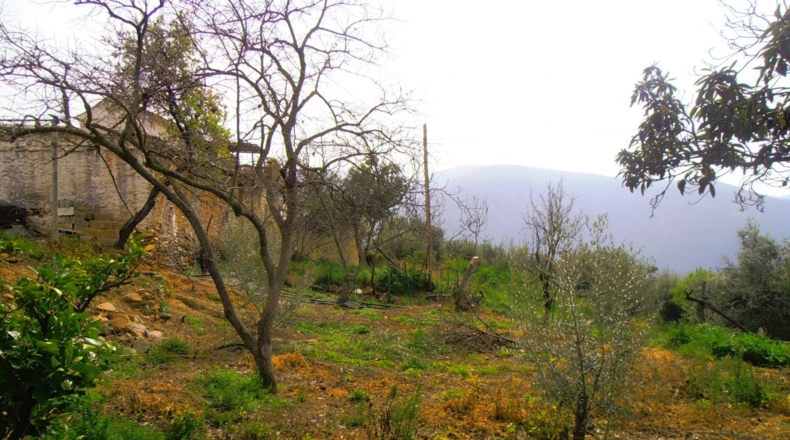 Granada - Los Tablones - 800m2