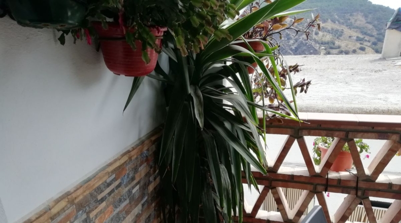 Granada - Alcútar - 275m2