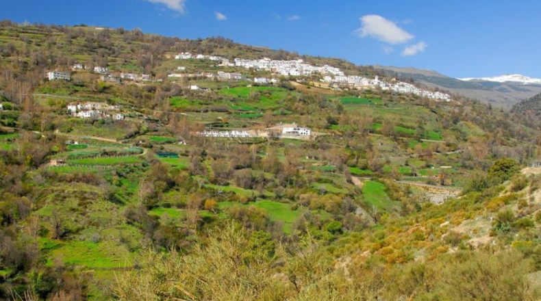 Granada - Alcútar - 275m2