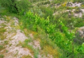 Finca rústica en venta en Órgiva ref: TR188379 foto