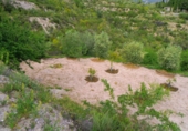 Finca rústica en venta en Órgiva ref: TR188379 foto