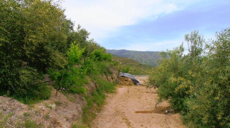 Granada - Órgiva - 20000m2