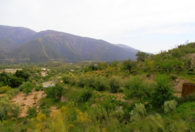 Foto 8