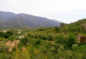 Finca rústica en venta en Órgiva ref: TR188379 foto