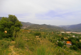 Foto 9