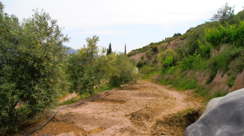 Granada - Órgiva - 20000m2