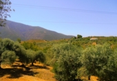 Finca rústica en venta en Órgiva ref: TR188380 foto