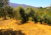 Finca rústica en venta en Órgiva ref: TR188380 foto