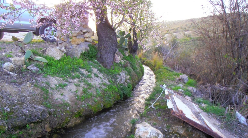 Granada - Los Tablones - 7000m2