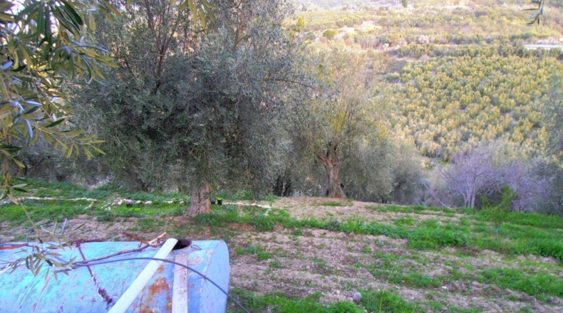 Granada - Los Tablones - 7000m2